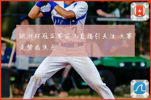 欧洲杯冠亚军实况直播引关注 决赛走势成焦点