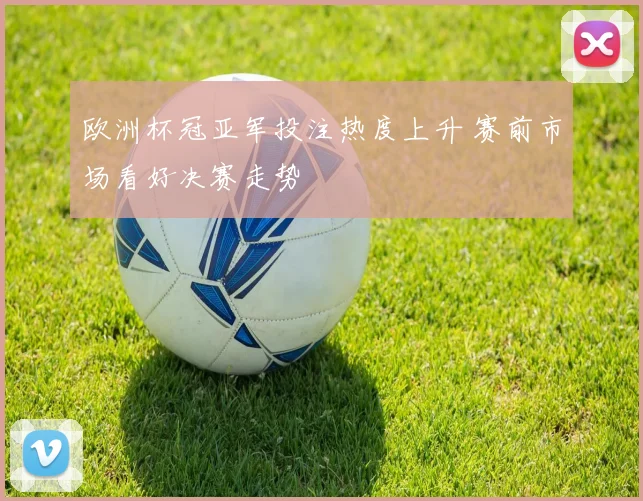 欧洲杯冠亚军投注热度上升 赛前市场看好决赛走势