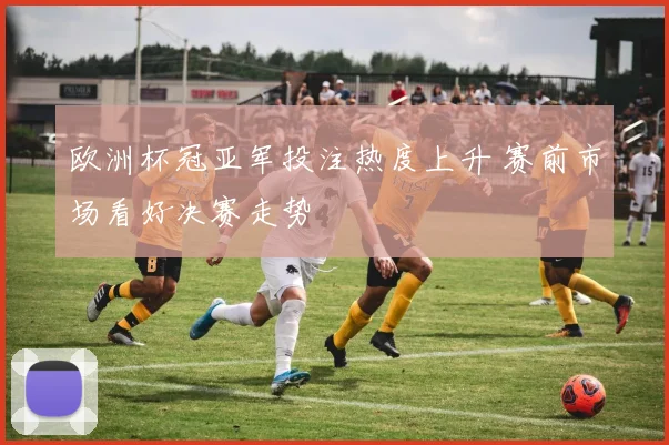 欧洲杯冠亚军投注热度上升 赛前市场看好决赛走势