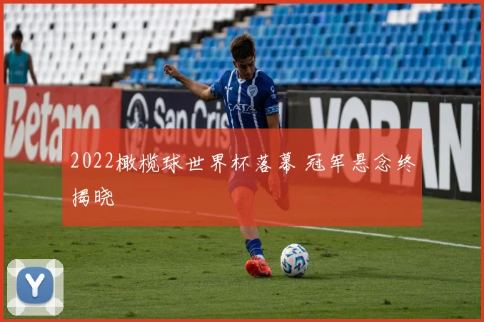 2022橄榄球世界杯落幕 冠军悬念终揭晓
