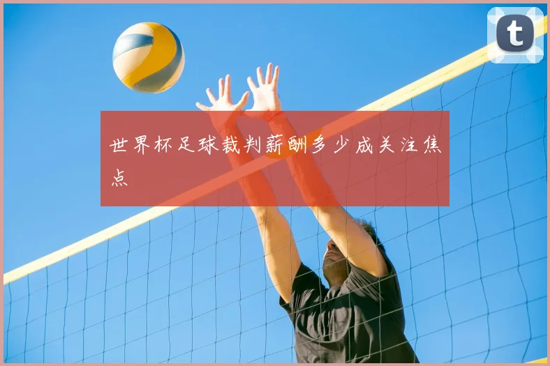 世界杯足球裁判薪酬多少成关注焦点