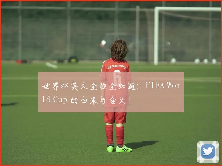 世界杯英文全称全知道：FIFA World Cup 的由来与含义