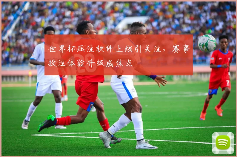 世界杯压注软件上线引关注，赛事投注体验升级成焦点